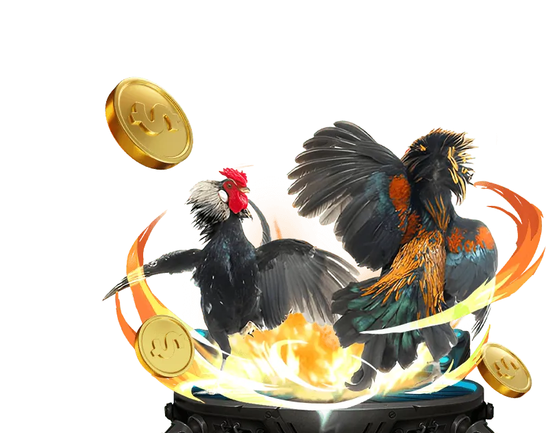 Cơ chế hoàn trả hàng ngày fb9